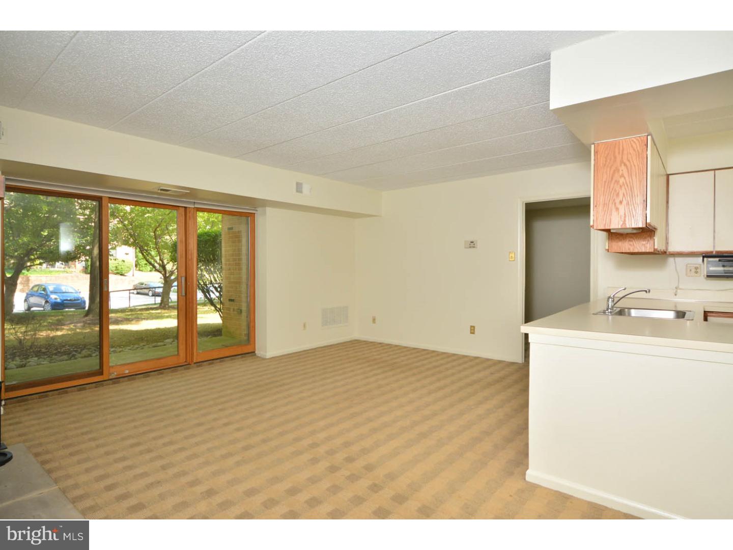 511 Washington Place Chesterbrook, PA 19087 - Photo 8 of 25 Gallery Image 8