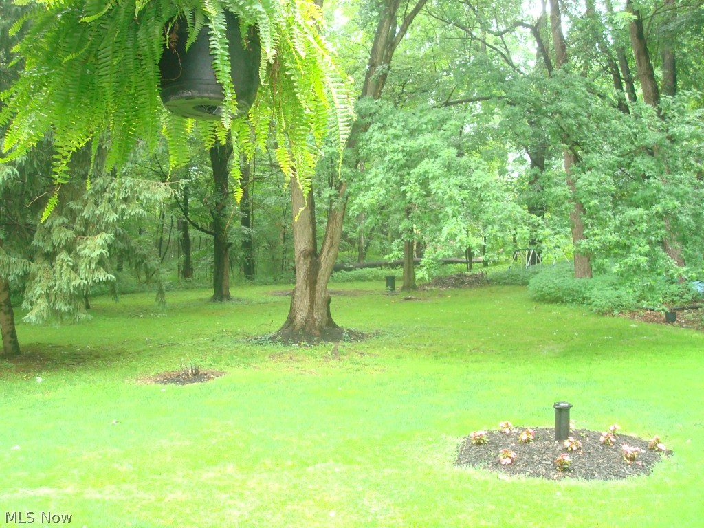 6624 Manchester Road Clinton, OH 44216 - Photo 23 of 24 Over 5 scenic acres offering lots of privacy.