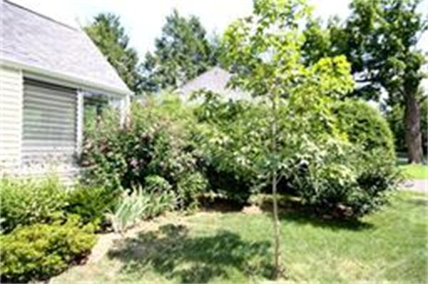 65 Shaker Road Longmeadow, MA 01106 - Photo 15 of 16 a backyard of a house with lots of green space