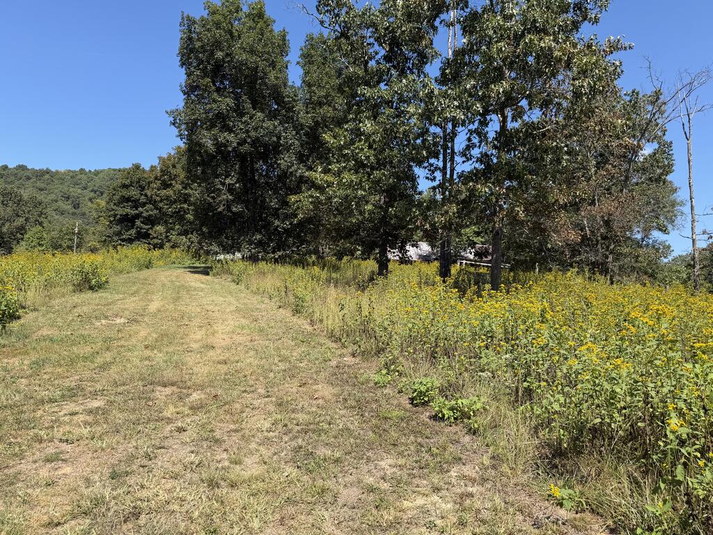 2443 Bruce Allen Road Hinton, WV 25951 - Photo 25 of 75 Gallery Image 25