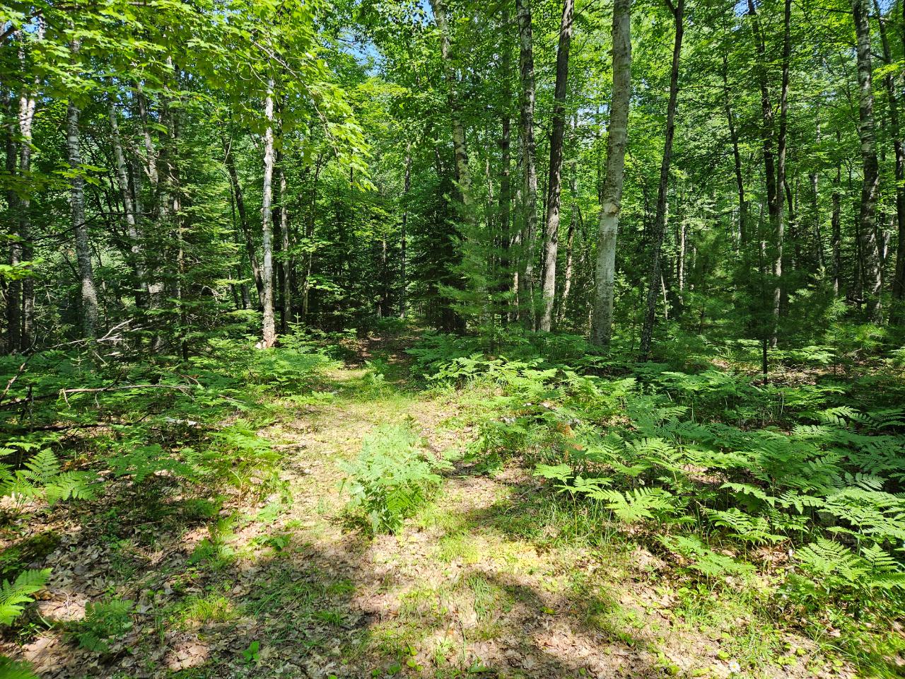 Off Hunter Haven Road Rhinelander, WI 54501 - Photo 8 of 13 Gallery Image 8