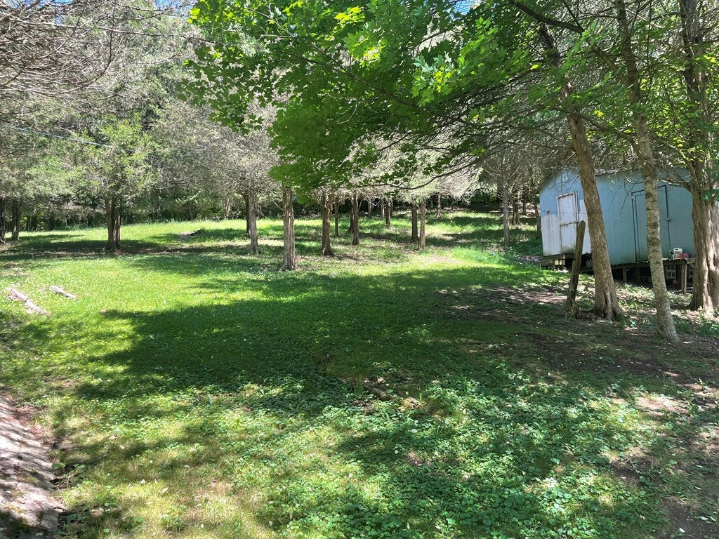 289 Wardell Road Cedar Bluff, VA 24609 - Photo 9 of 28 Gallery Image 9