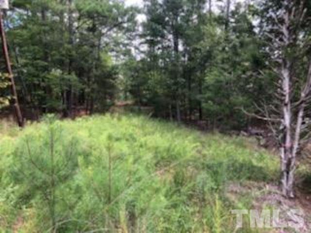 Lot Evans Road Henderson, NC 27537 - Photo 6 of 7 a view of backyard with green space