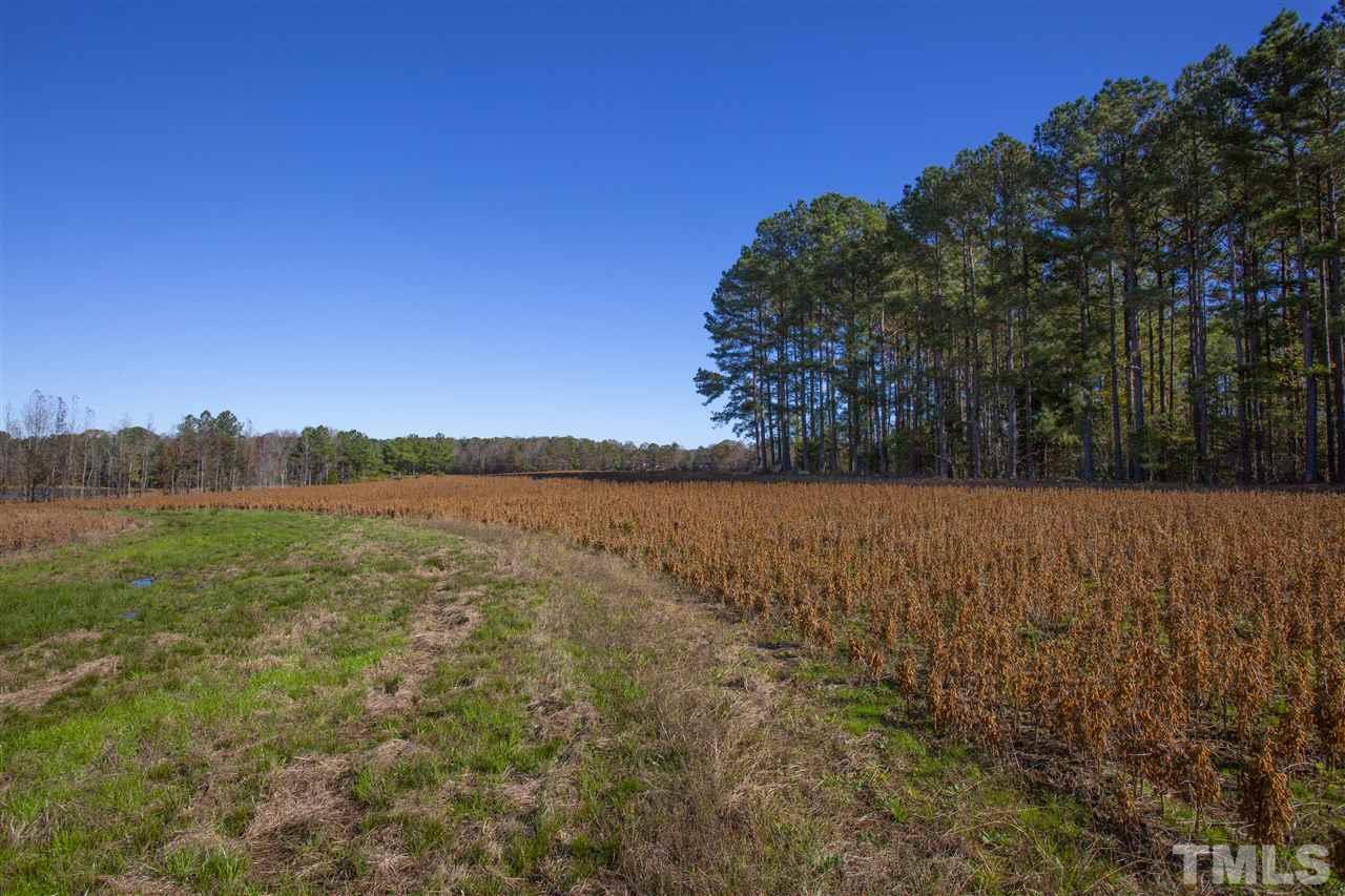 4101 Quarry Road Zebulon, NC 27597 - Photo 22 of 27