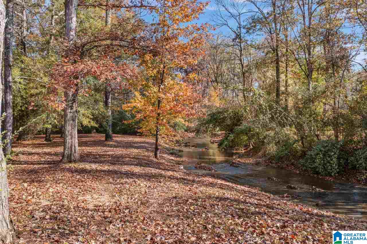 4512 Little Ridge Drive Birmingham, AL 35242 - Photo 11 of 46