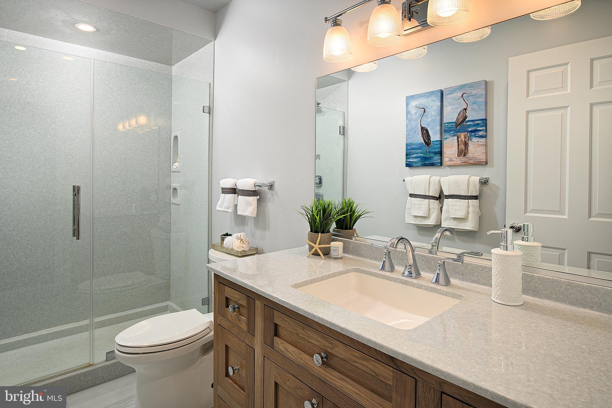 3887 Cotter Drive Edgewater, MD 21037 - Photo 23 of 50 Primary Bathroom