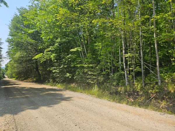 $45,000 | Lot 5 North Merrill Road, Harmony, ME 04942