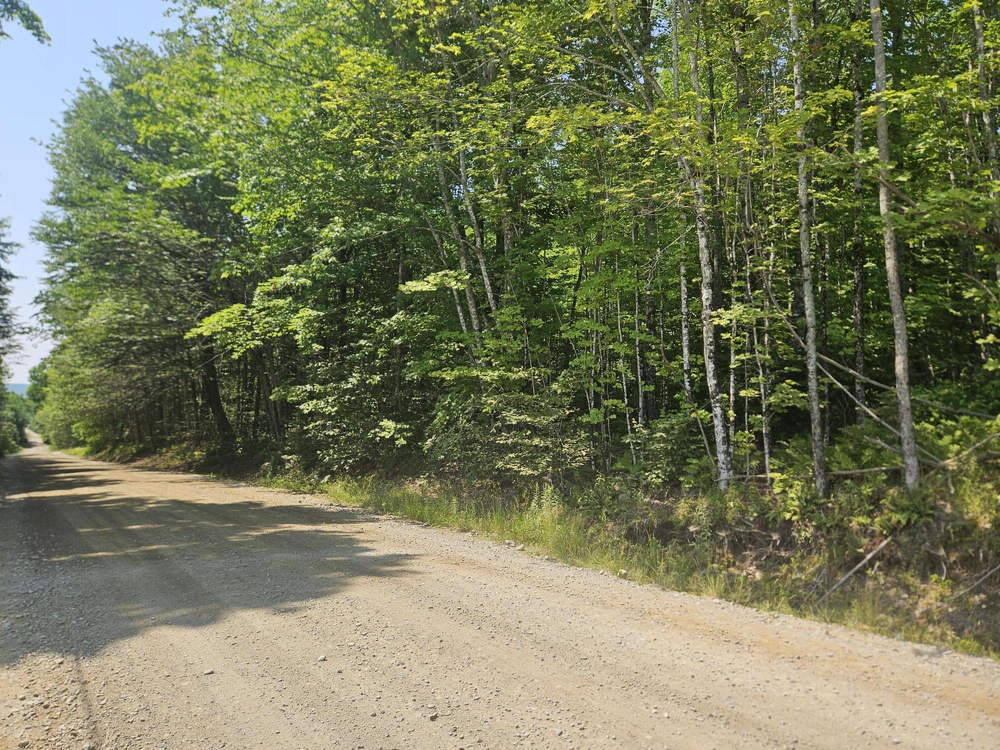 Lot 5 North Merrill Road Harmony, ME 04942 - Photo 1 of 11 20260708_110217