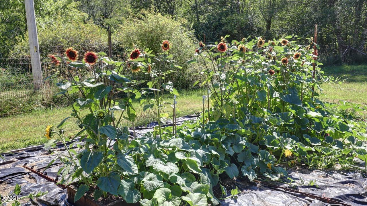 648 Olalla Road Toledo, OR 97391 - Photo 27 of 43 Garden