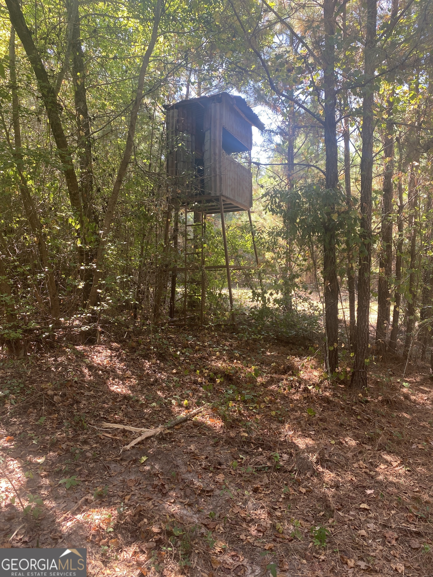 299 South L Street Hamilton, GA 31811 - Photo 33 of 36 a backyard of a house