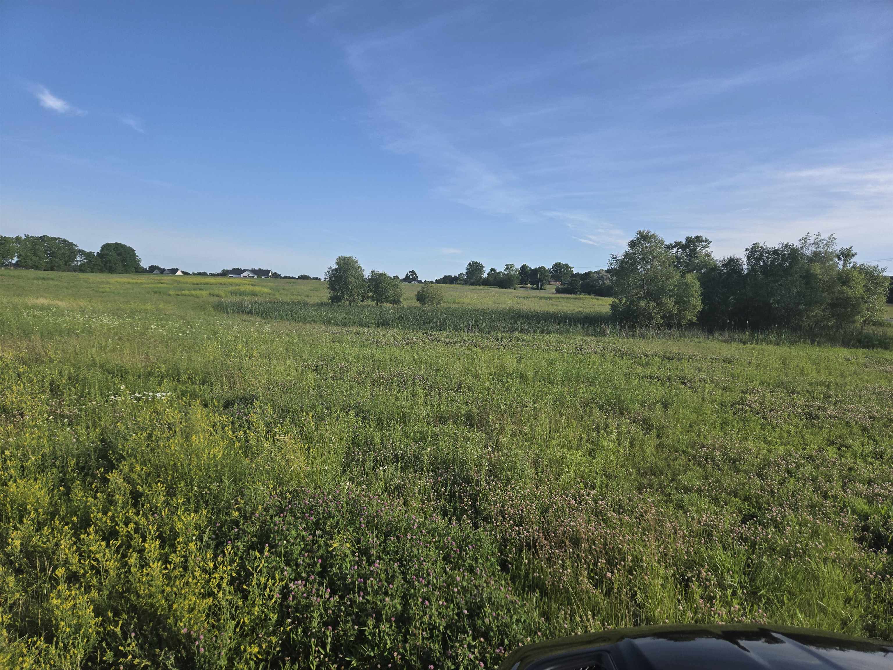 13015 Linden Road Linden, MI 48451 - Photo 3 of 6