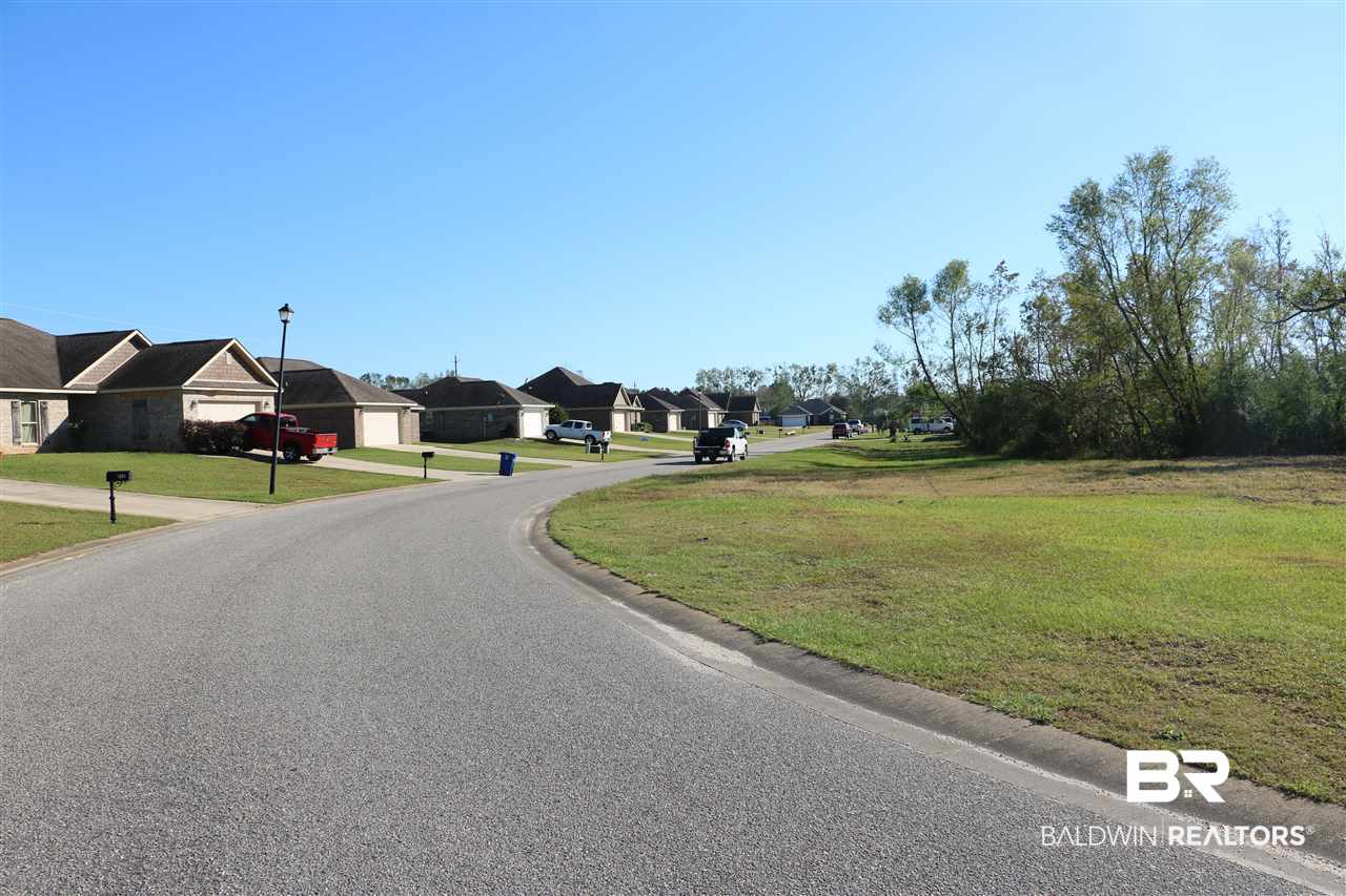 Lot 41 Thames Drive Foley, AL 36535 - Photo 3 of 14