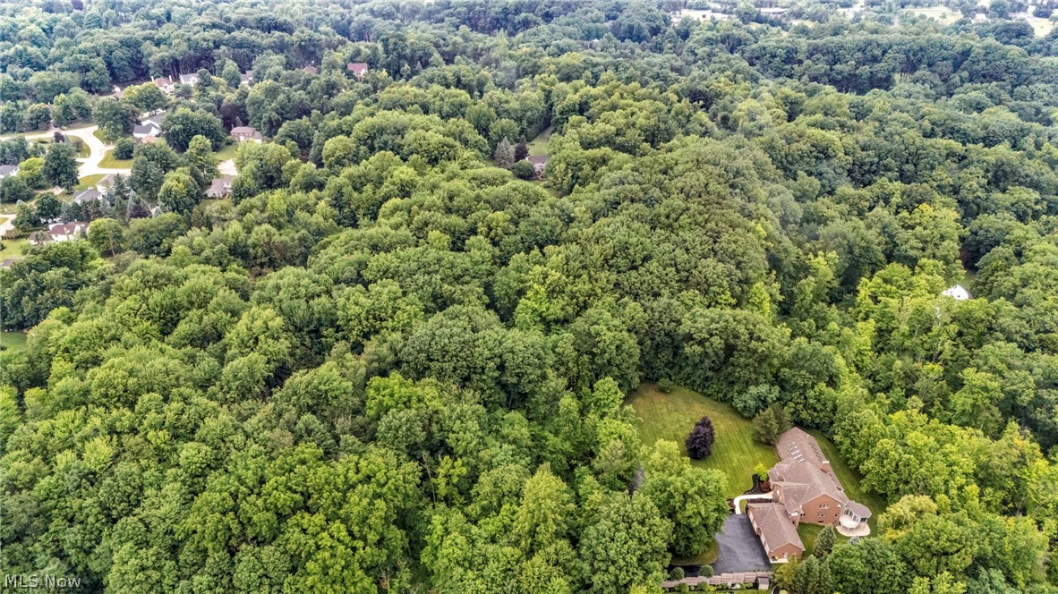 7282 Pinehill Road Painesville, OH 44077 - Photo 4 of 48