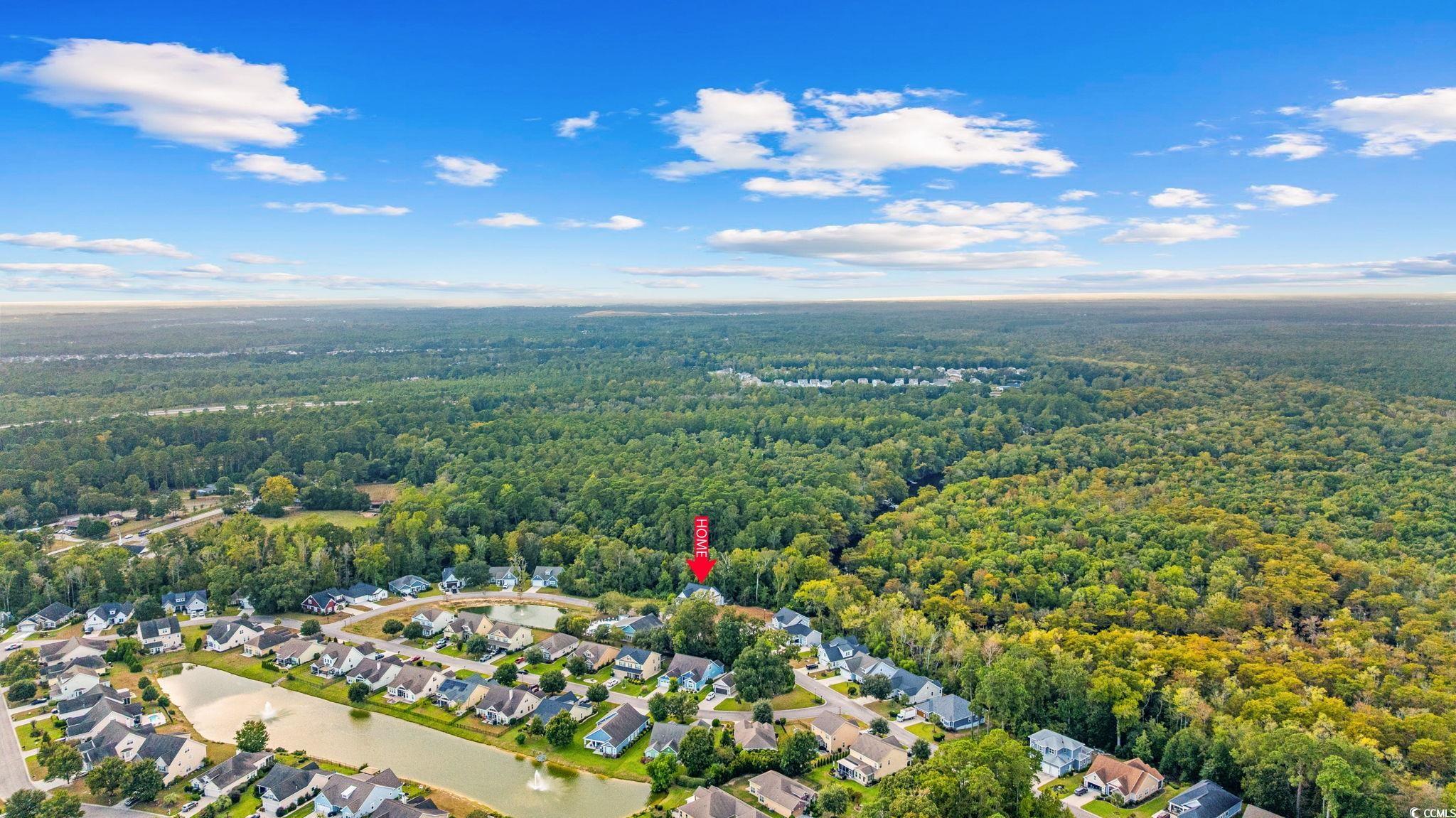 278 Rivers Edge Drive Conway, SC 29526 - Photo 36 of 39