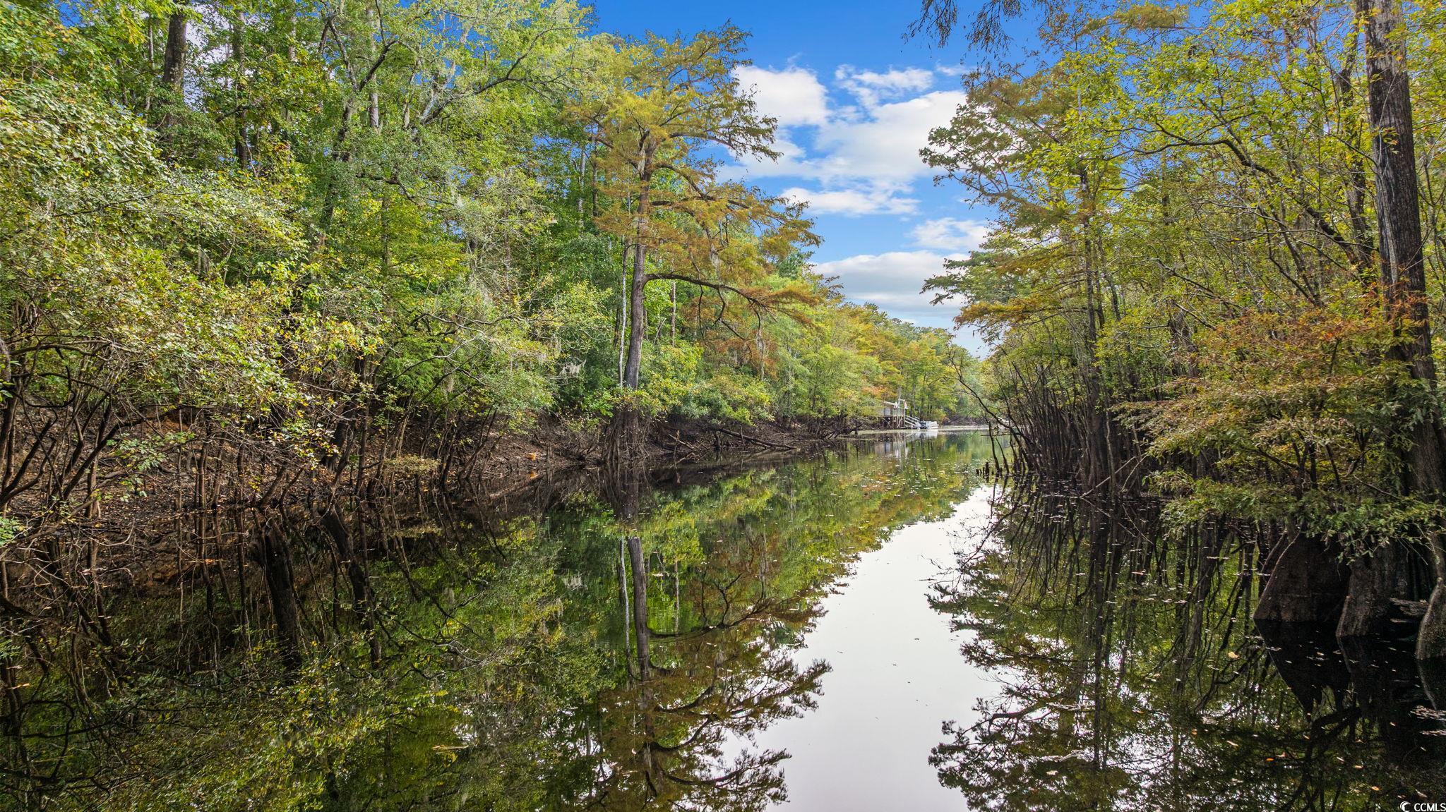 278 Rivers Edge Drive Conway, SC 29526 - Photo 37 of 39