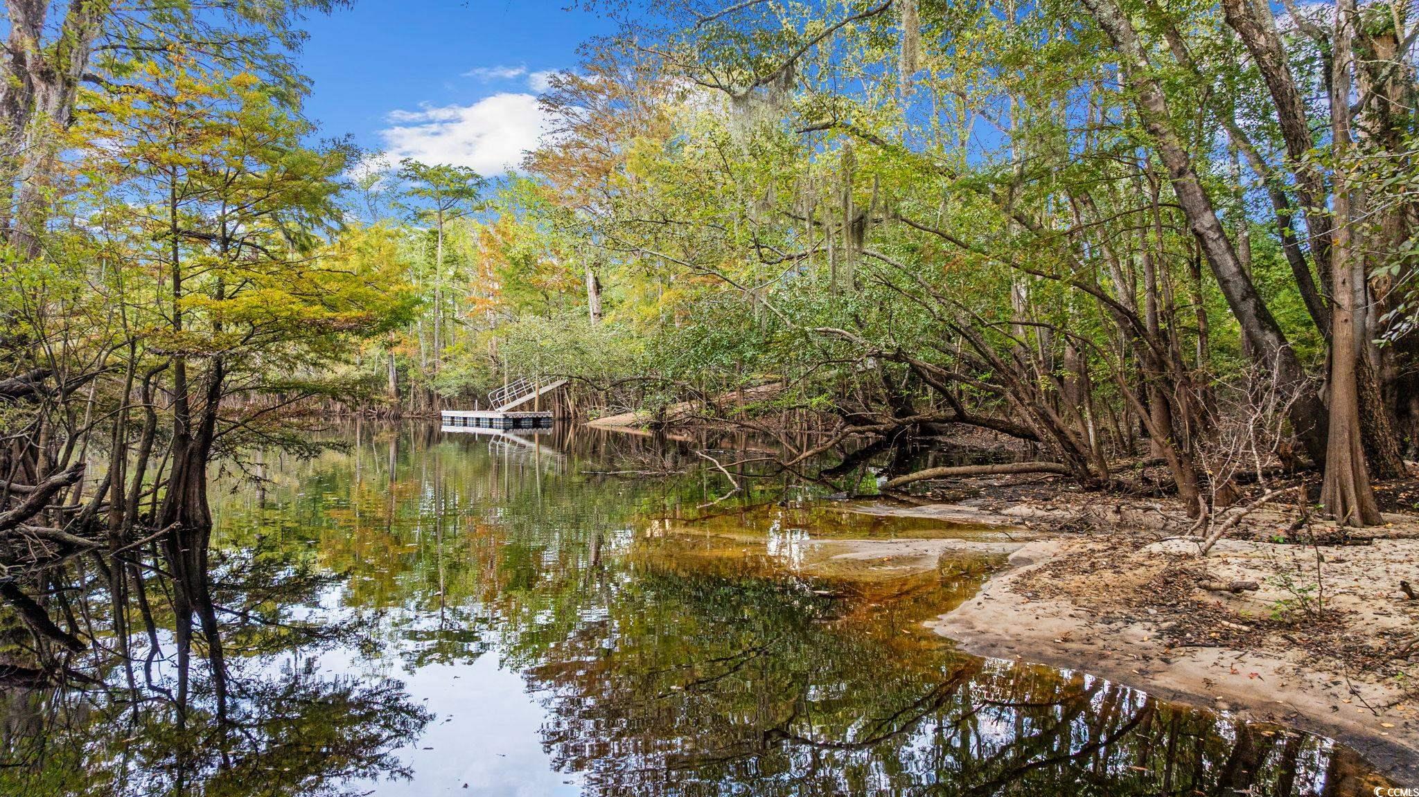278 Rivers Edge Drive Conway, SC 29526 - Photo 38 of 39