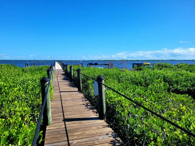 a view of a yard with plants and a bench