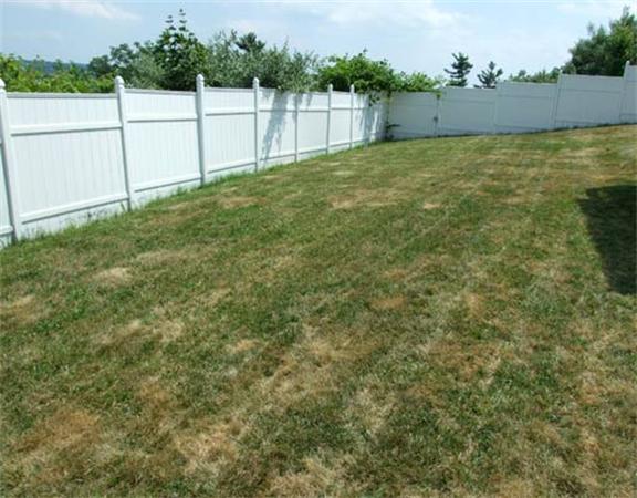 44 Cheyenne Road Worcester, MA 01606 - Photo 12 of 30 Gallery Image 12