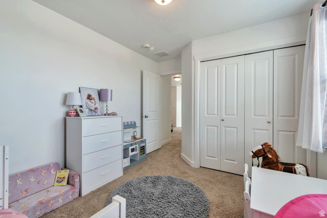 253 Quartz Road Tooele, UT 84074 - Photo 15 of 33
