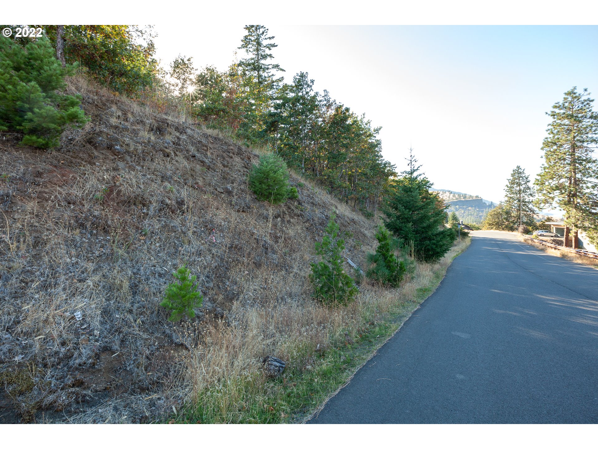 5th Avenue, Unit 3 Mosier, OR 97040 - Photo 4 of 14 Gallery Image 4