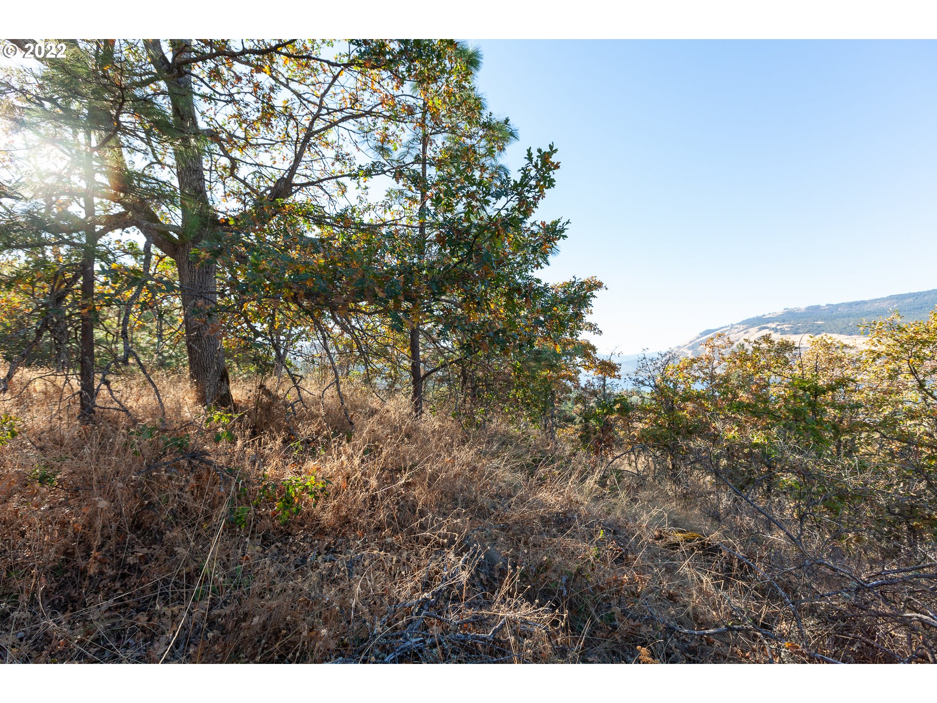 5th Avenue, Unit 3 Mosier, OR 97040 - Photo 10 of 14 Gallery Image 10