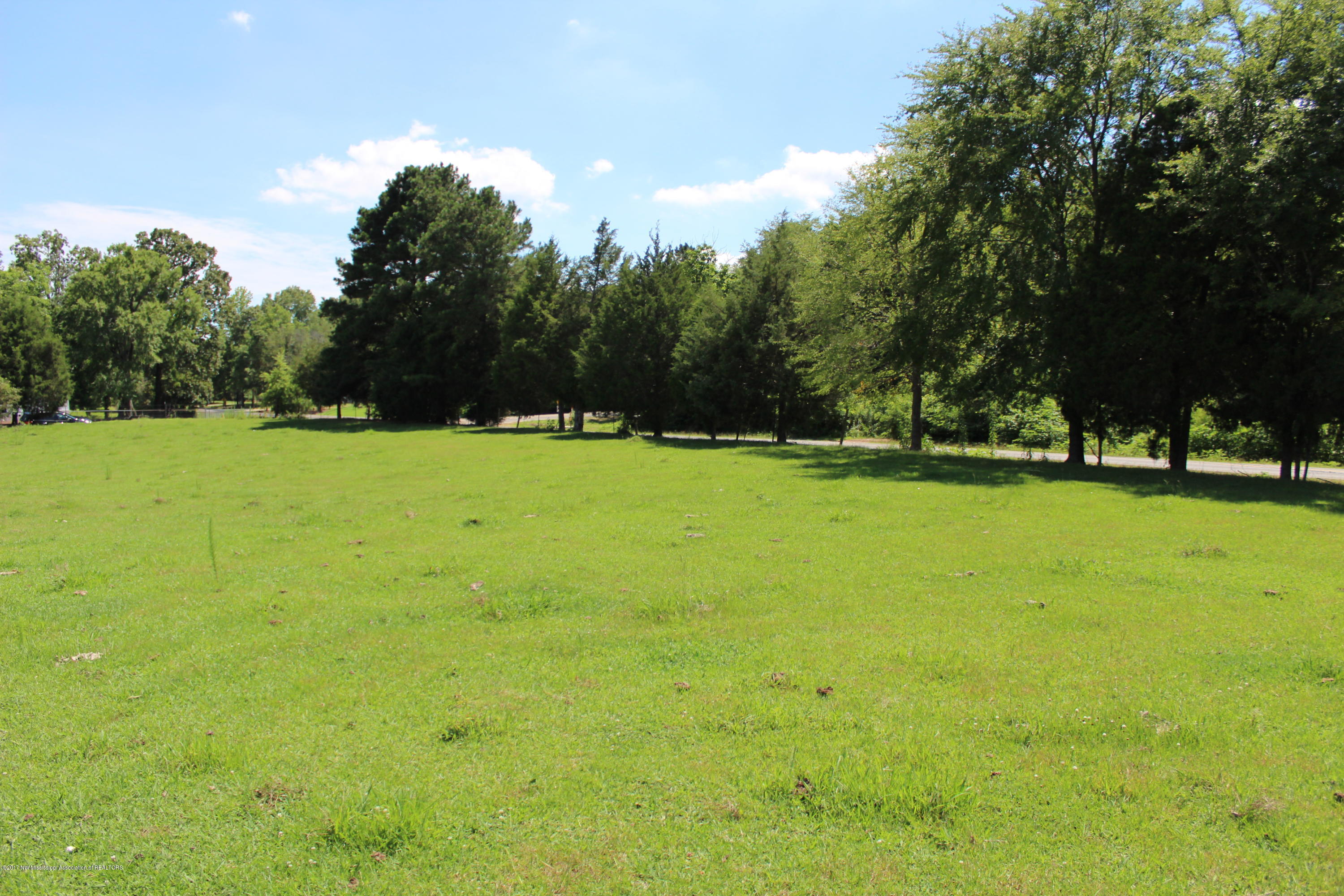 882 Craft Road South Hernando, MS 38632 - Photo 8 of 9 IMG_0237