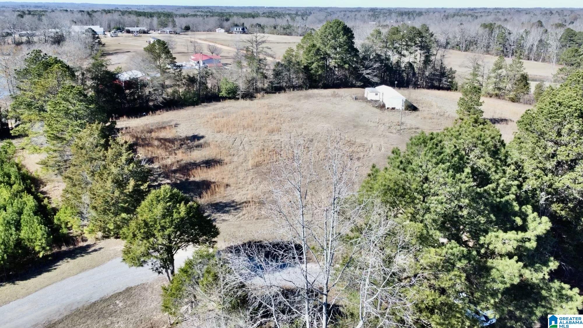40 County Road 494 Verbena, AL 36091 - Photo 4 of 16