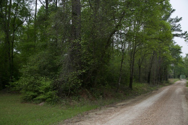258 Hearne Road Corrigan, TX 75939 - Photo 2 of 7