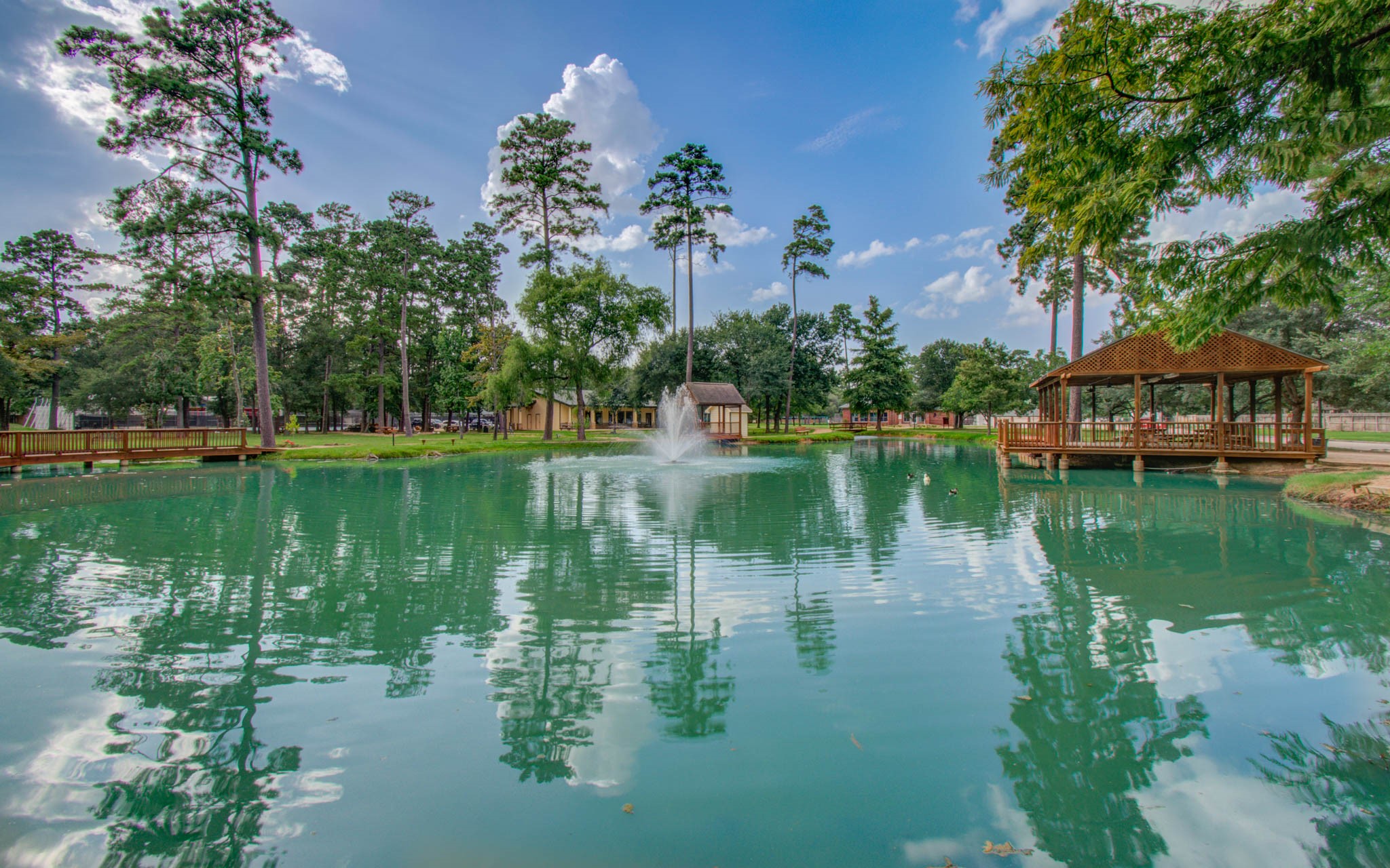 22927 Northoak Forest Lane Spring, TX 77389 - Photo 32 of 37 a view of a lake with a house in the background