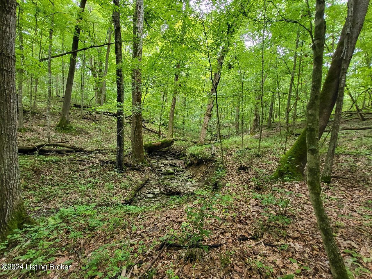 1743 Albert Moore Road Lockport, KY 40036 - Photo 41 of 45 Photo from 2023