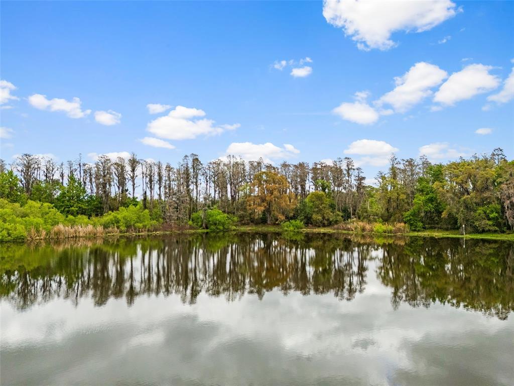 18150 Burrell Road Odessa, FL 33556 - Photo 13 of 23