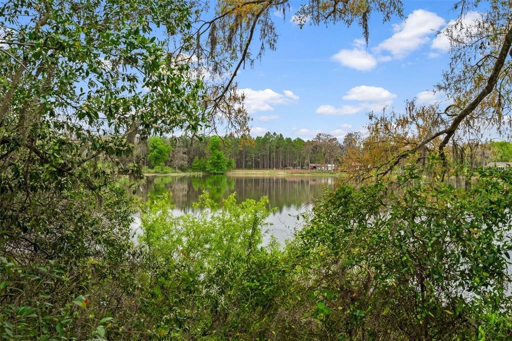 18150 Burrell Road Odessa, FL 33556 - Photo 15 of 23