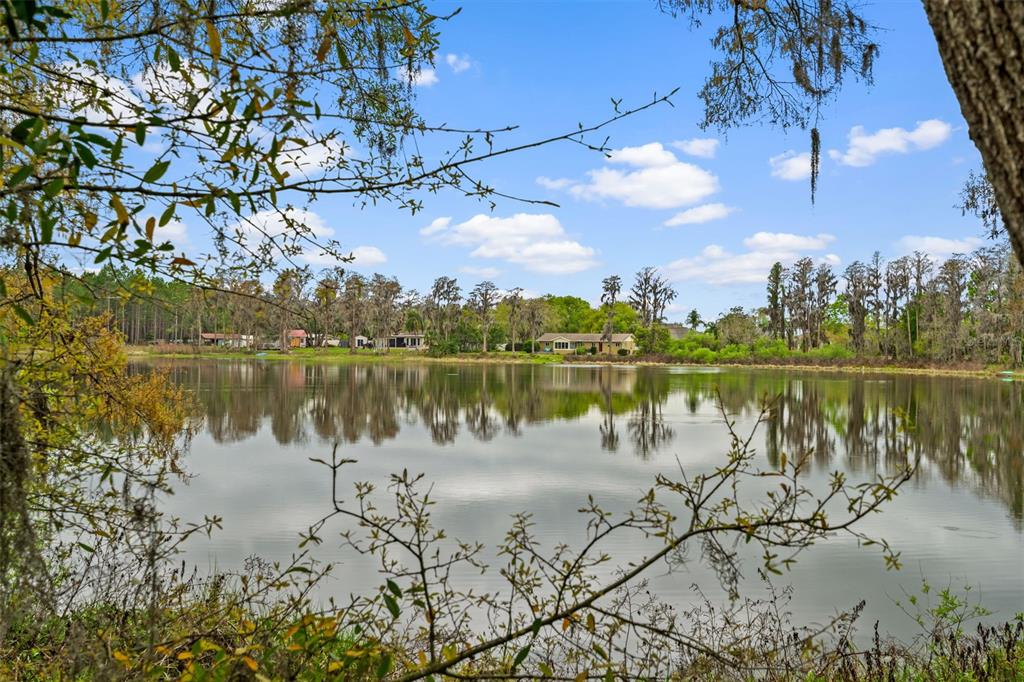 18150 Burrell Road Odessa, FL 33556 - Photo 16 of 23