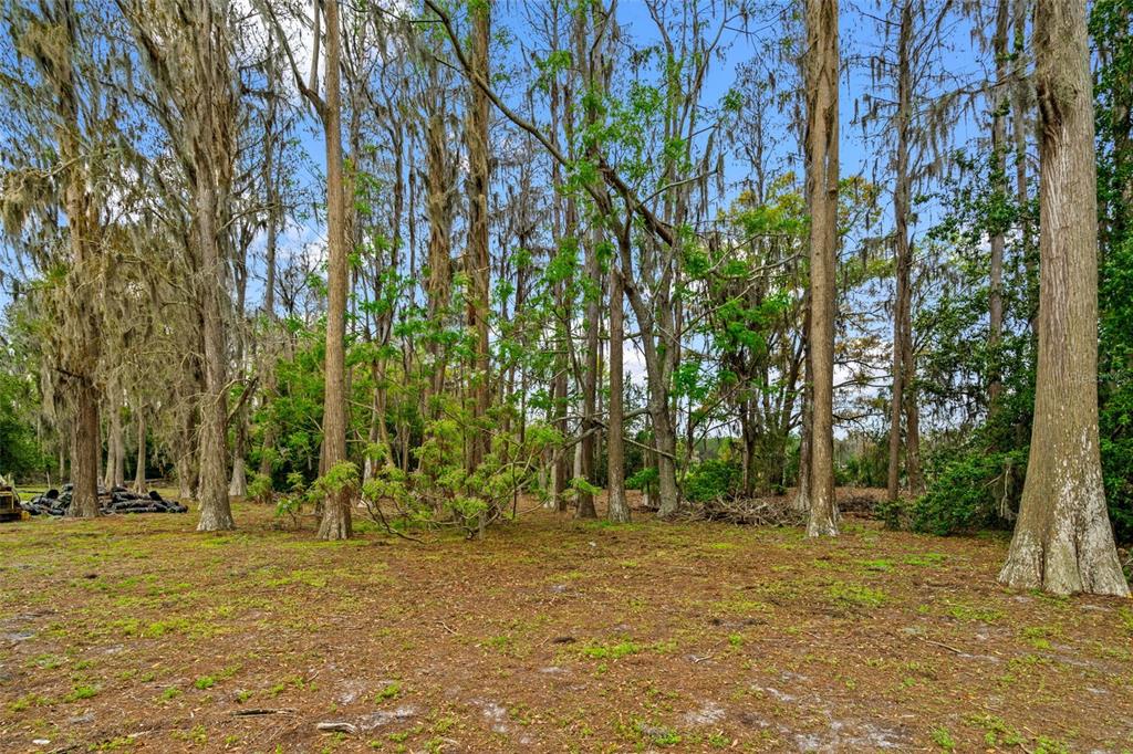 18150 Burrell Road Odessa, FL 33556 - Photo 17 of 23