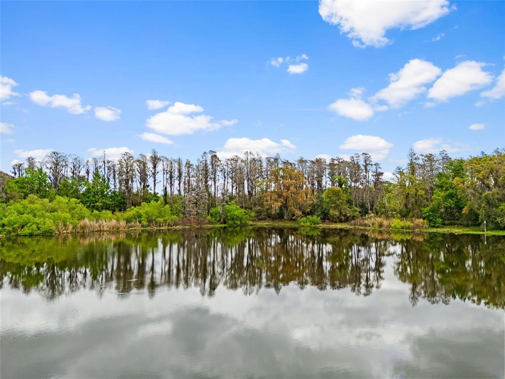 18150 Burrell Road Odessa, FL 33556 - Photo 19 of 23
