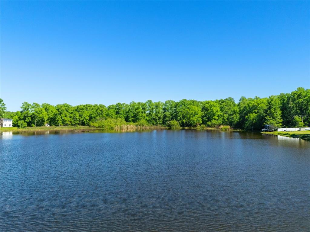 18150 Burrell Road Odessa, FL 33556 - Photo 23 of 23