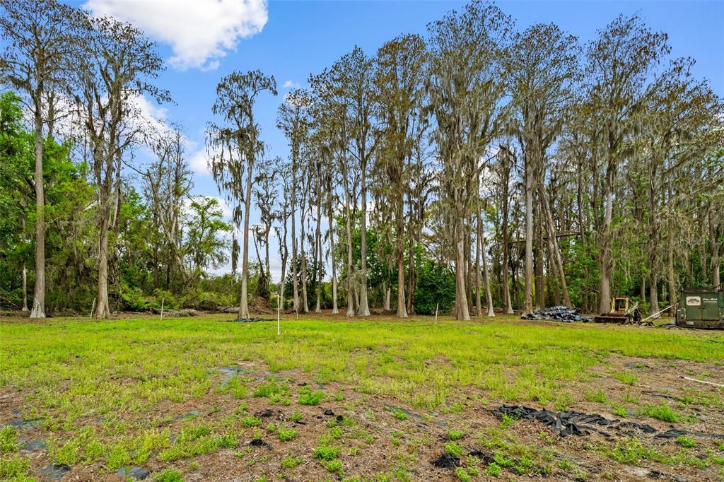 18150 Burrell Road Odessa, FL 33556 - Photo 7 of 23