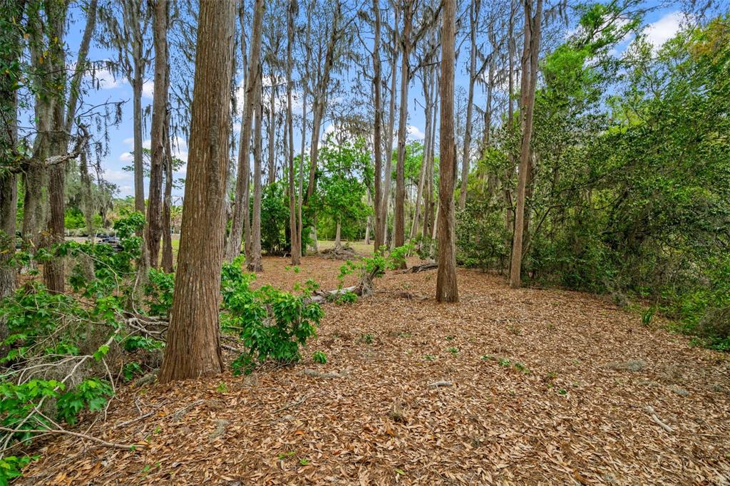 18150 Burrell Road Odessa, FL 33556 - Photo 8 of 23