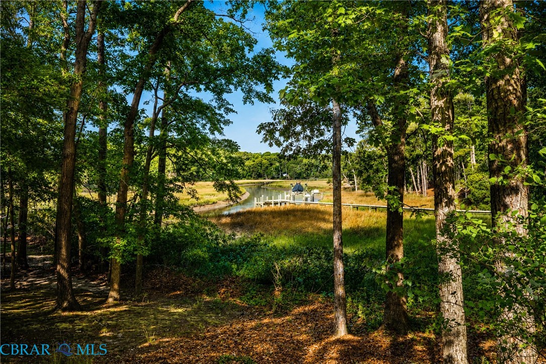 20582 Seahawk Landing Smithfield, VA 23430 - Photo 32 of 43
