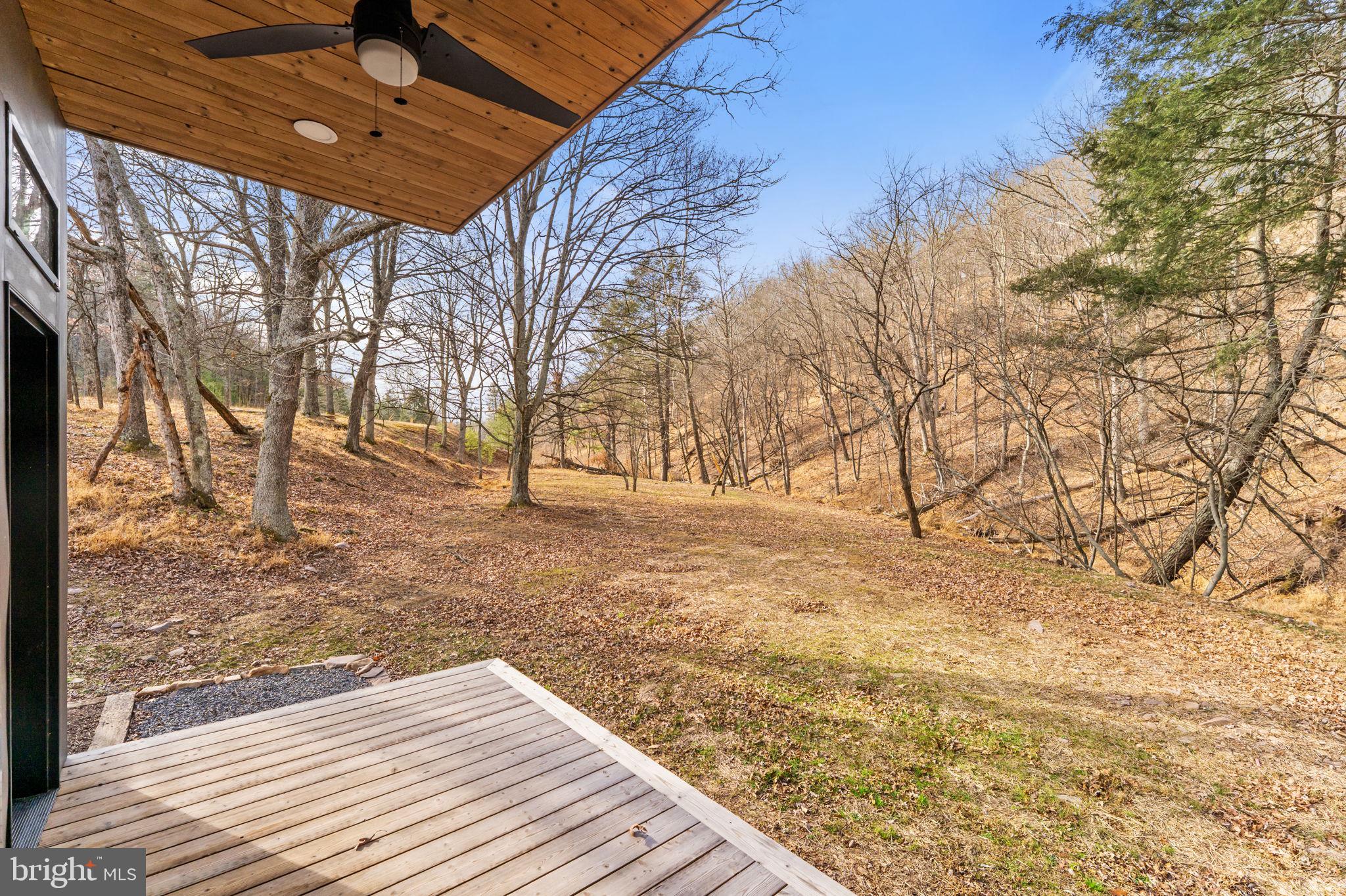 1956 Dove Hollow Road Mathias, WV 26812 - Photo 102 of 113 View from Main Level Deck