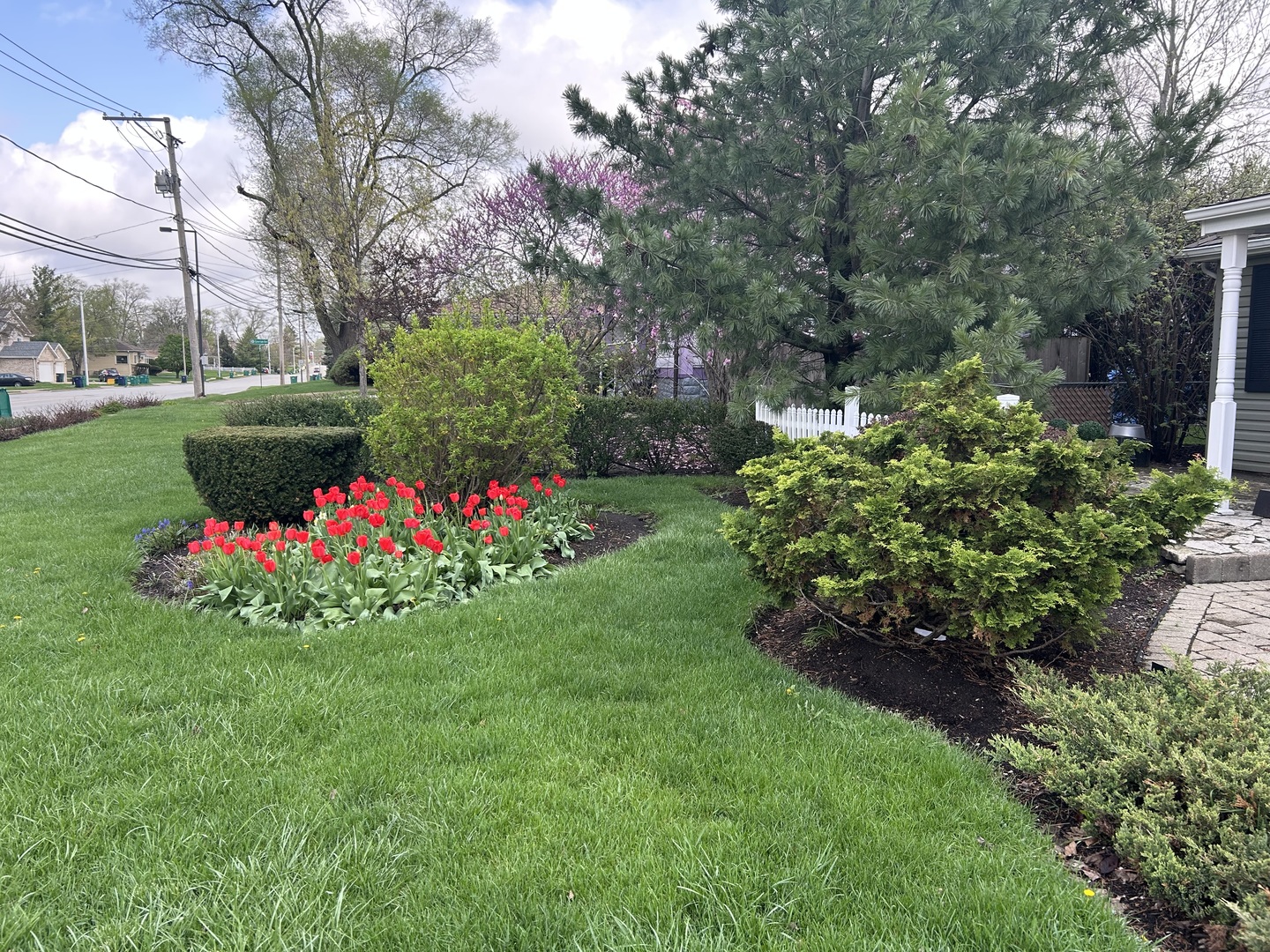 113 South Westmore-Meyers Road Lombard, IL 60148 - Photo 31 of 43
