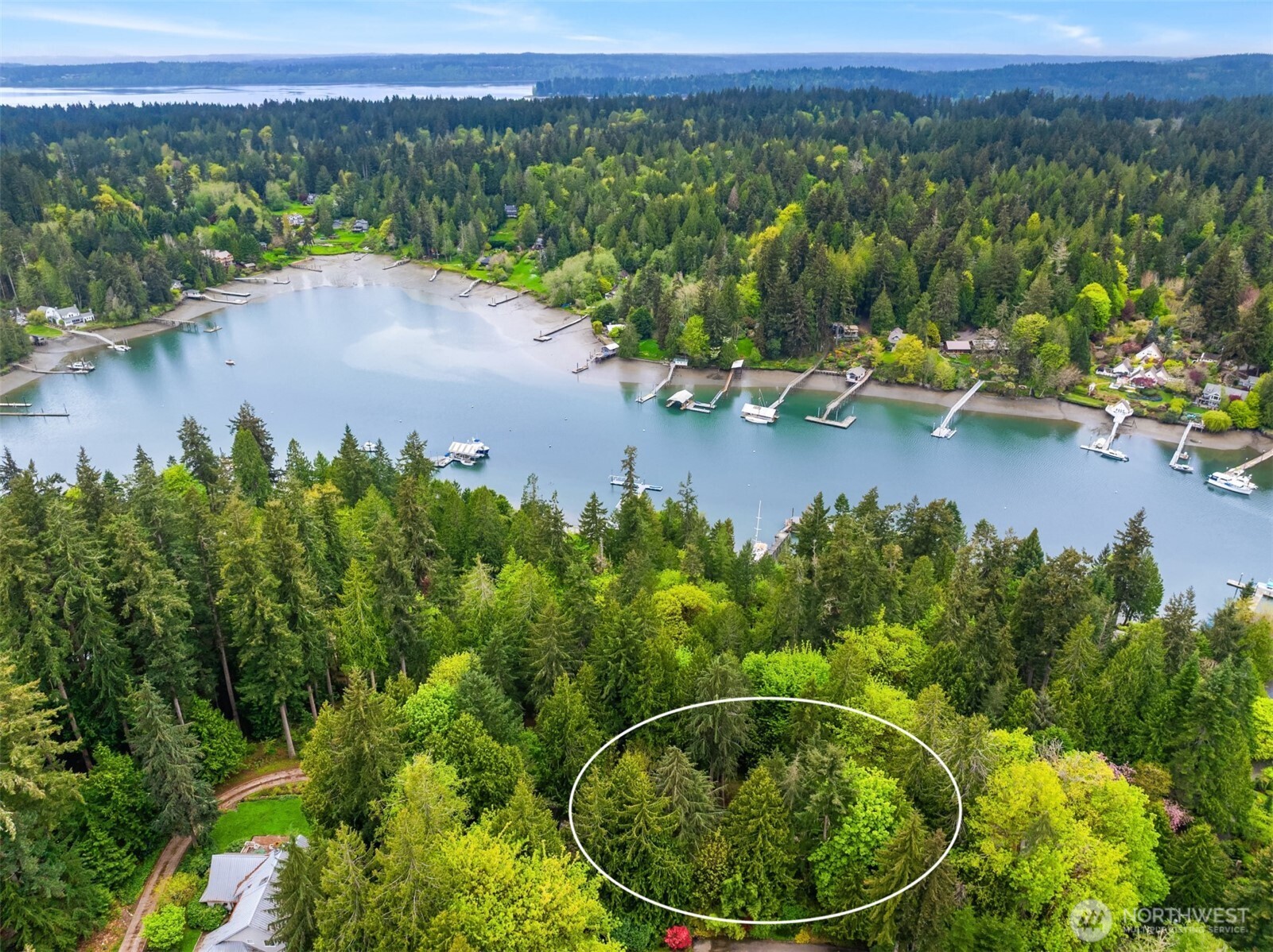 8151 Northeast Hidden Cove Road Bainbridge Island, WA 98110 - Photo 39 of 40 an aerial view of a house with a yard and lake view