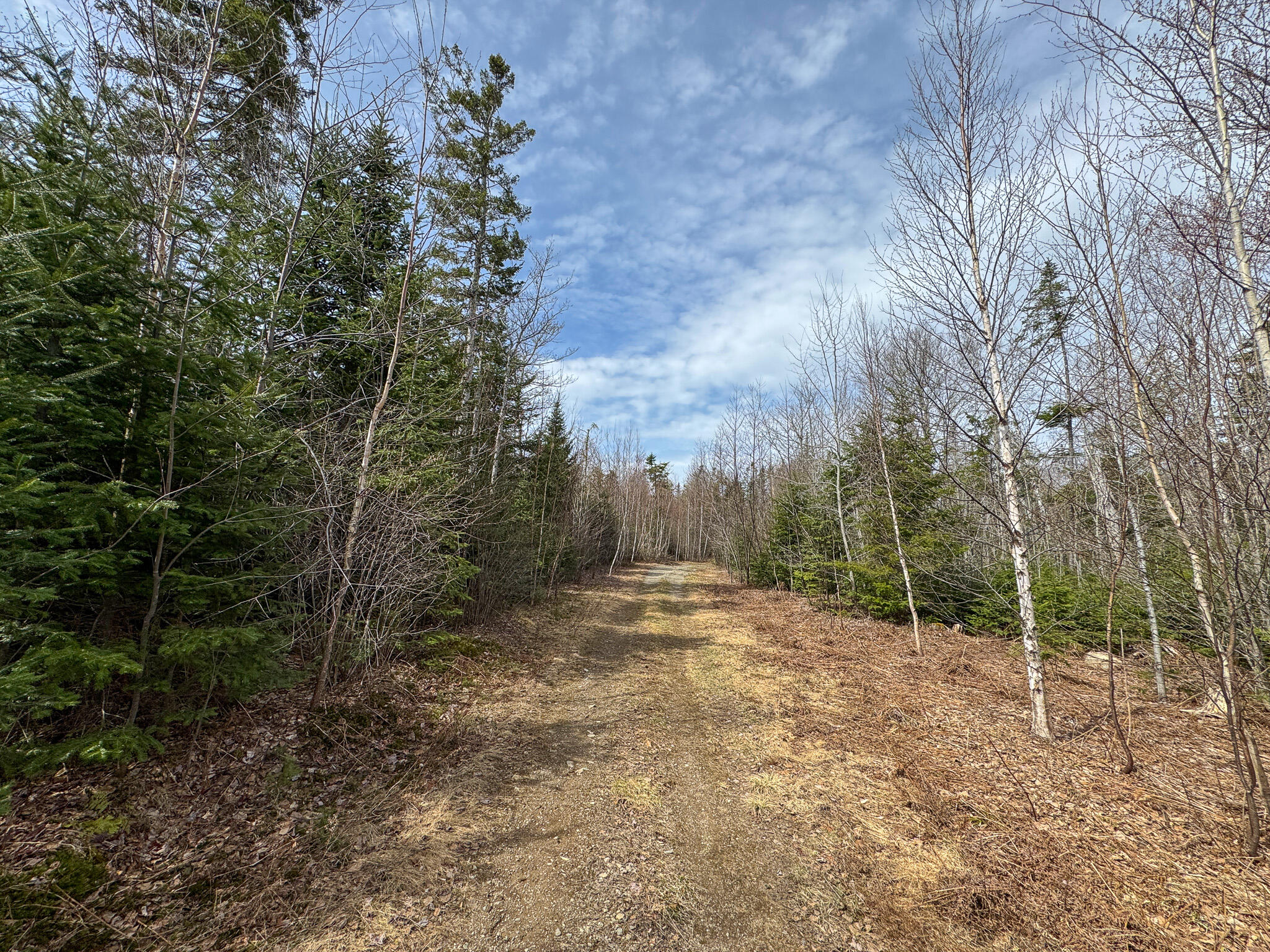 242 Bottle Lake Road Springfield, ME 04487 - Photo 35 of 47 40