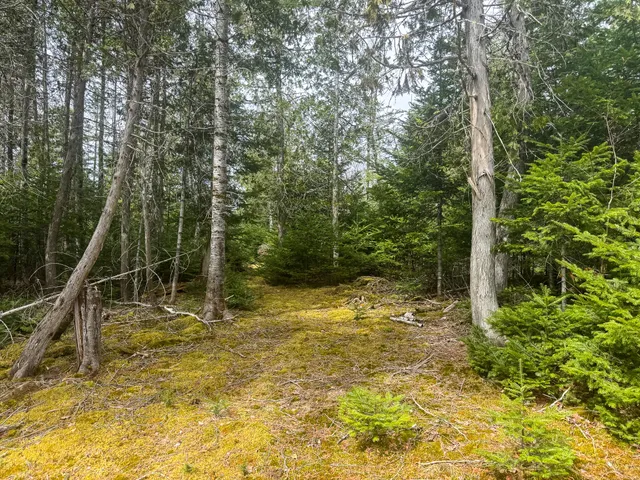 $575,000 | 242 Bottle Lake Road, Springfield, ME 04487