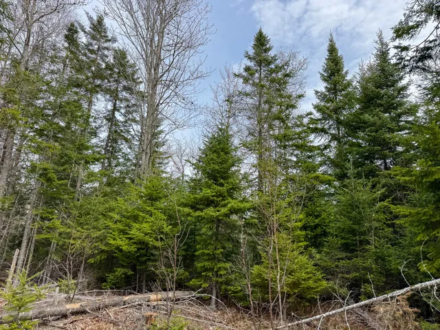 $575,000 | 242 Bottle Lake Road, Springfield, ME 04487