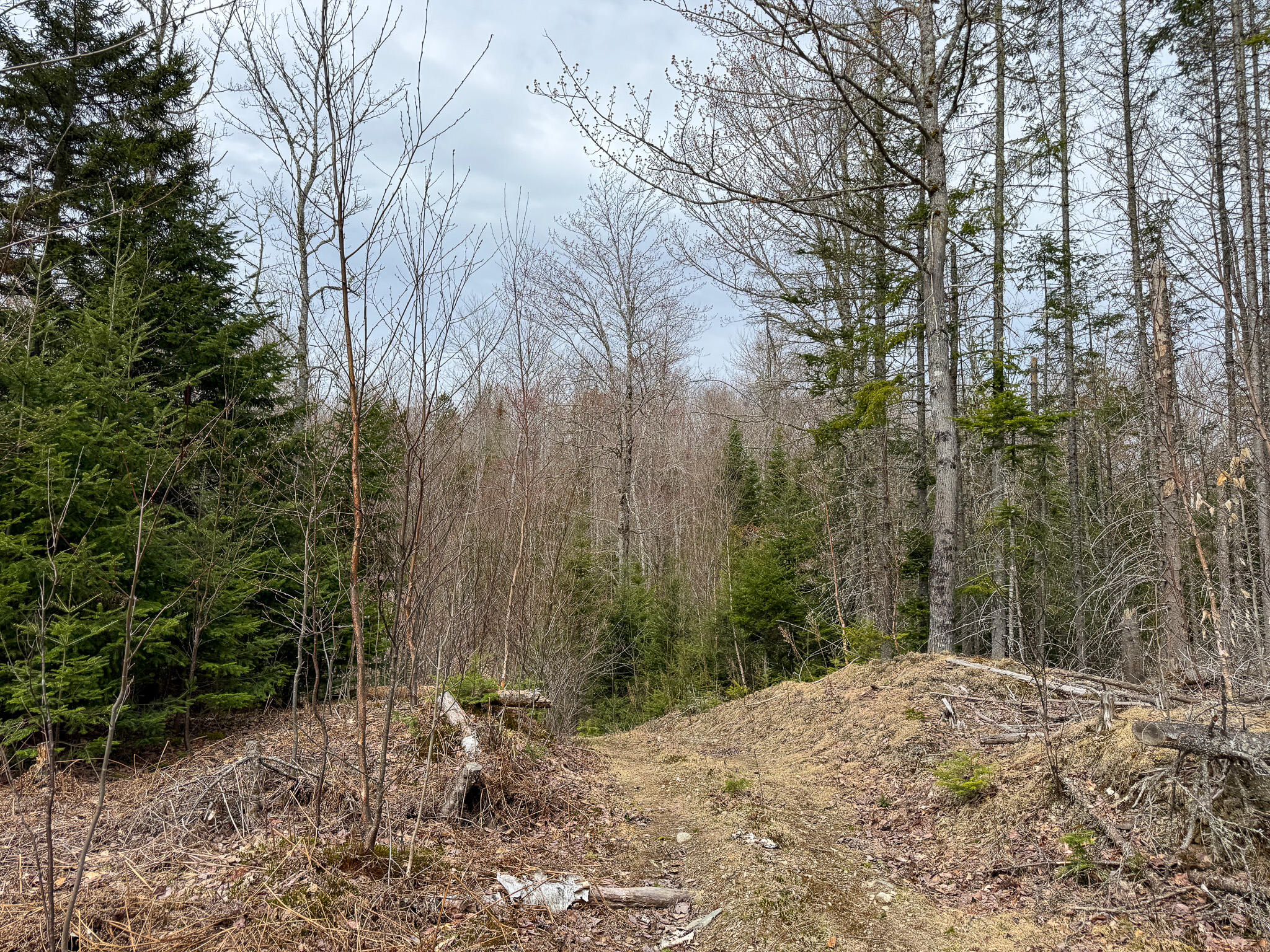 242 Bottle Lake Road Springfield, ME 04487 - Photo 38 of 47 43