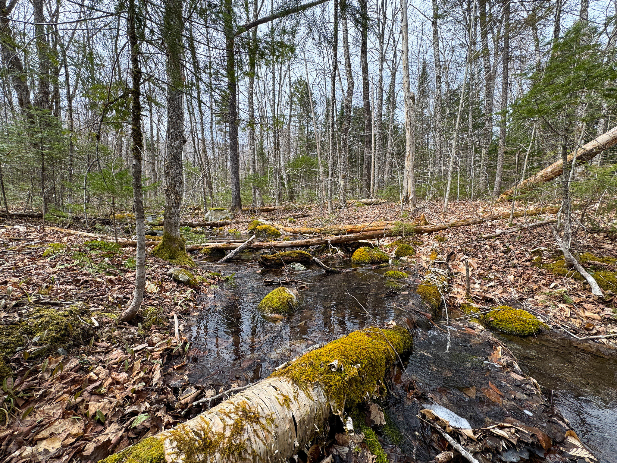 242 Bottle Lake Road Springfield, ME 04487 - Photo 39 of 47 44