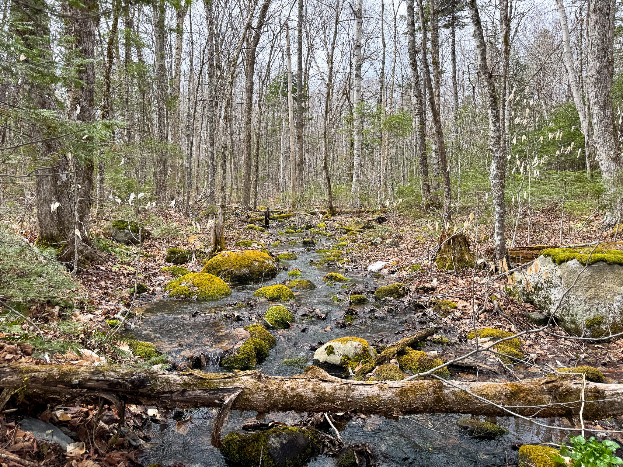 242 Bottle Lake Road Springfield, ME 04487 - Photo 40 of 47 45