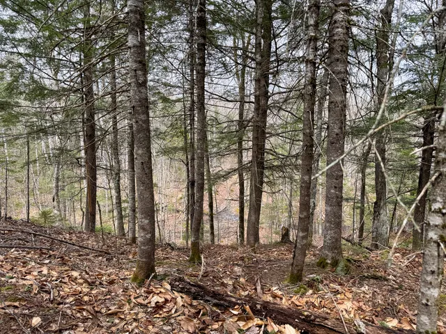 $575,000 | 242 Bottle Lake Road, Springfield, ME 04487