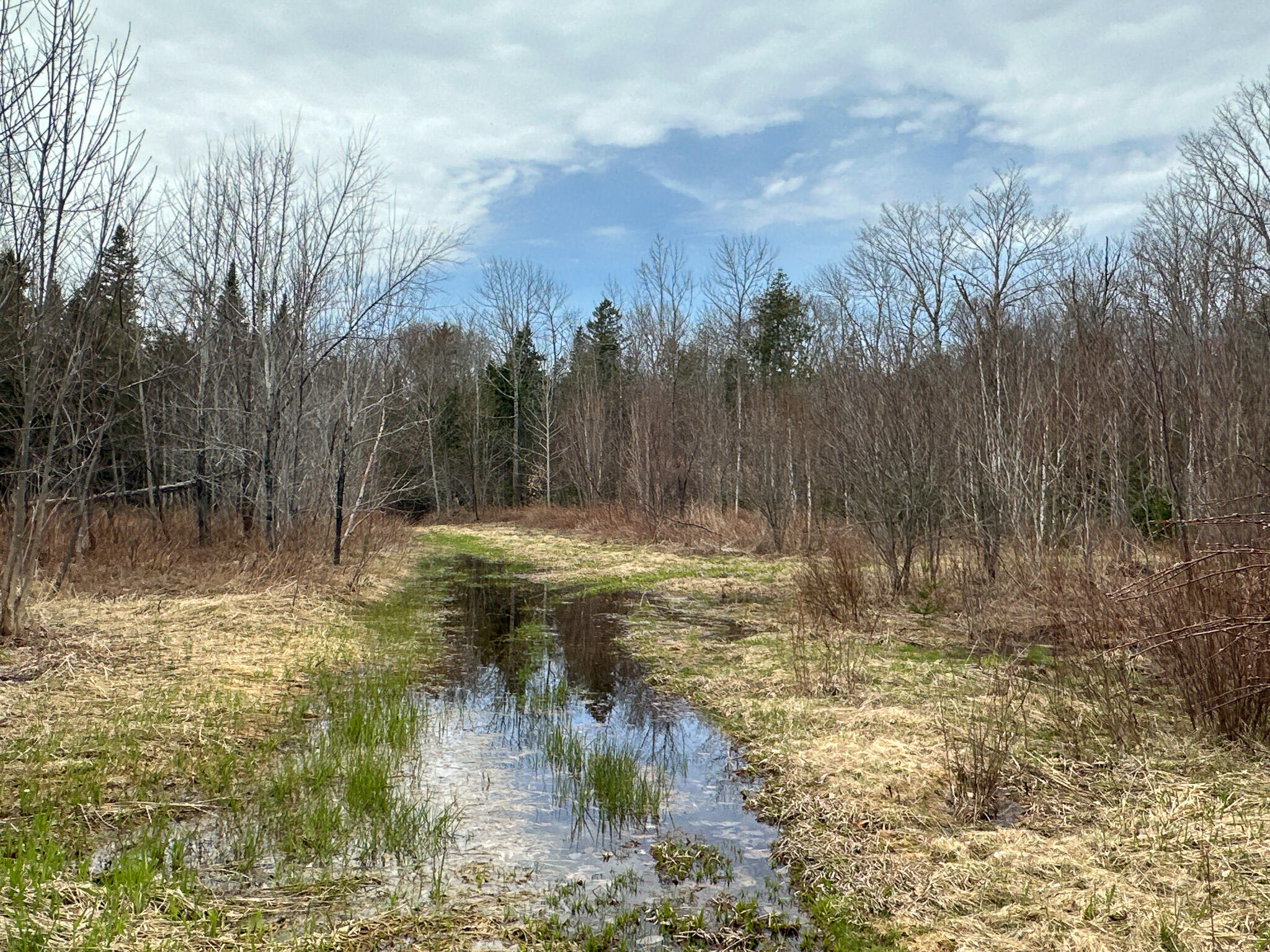 242 Bottle Lake Road Springfield, ME 04487 - Photo 44 of 47 49